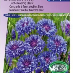 Sluis Garden - Korenbloem Blue Boy, Dubbelbloemig