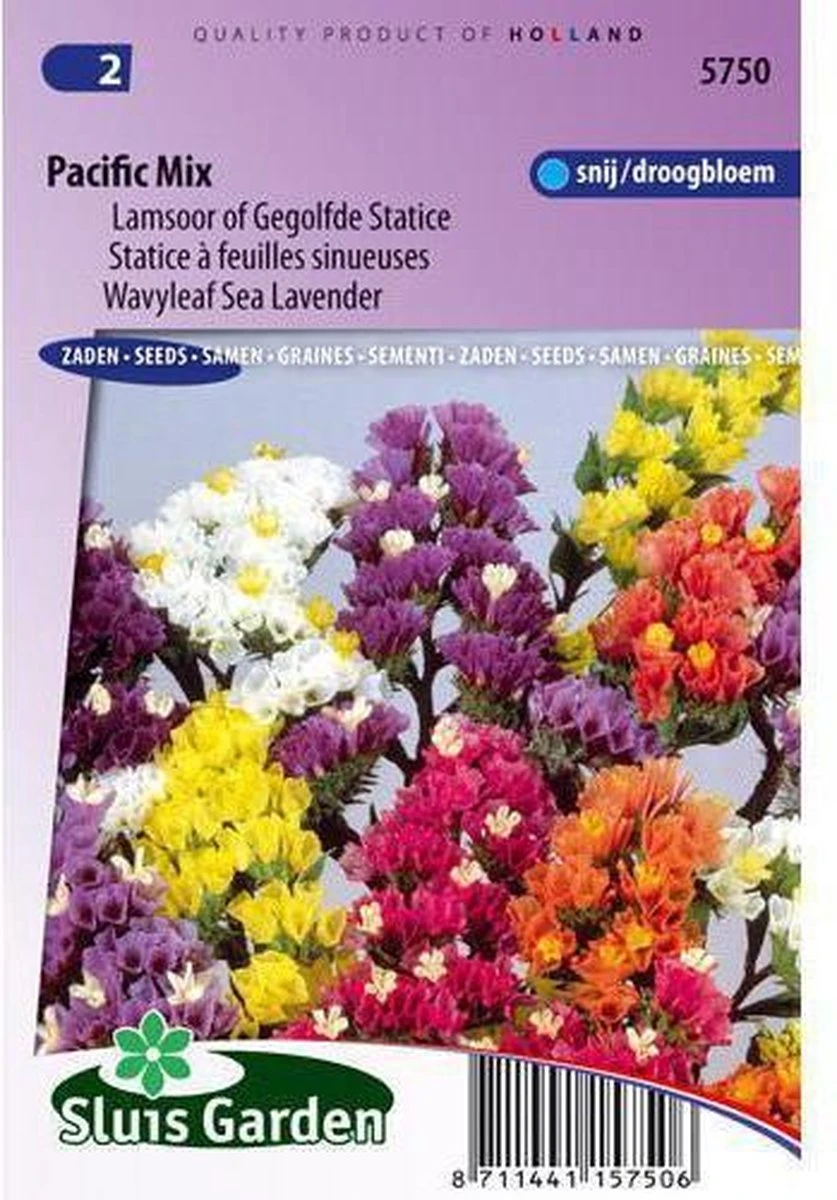 Sluis Garden - Lamsoor Pacific Mix (Statice) 3 Sluis Garden - Lamsoor Pacific Mix (Statice)
