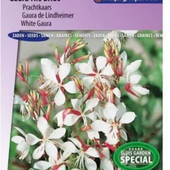 Sluis Garden - Prachtkaars The Bride (Gaura Lindheimeri)