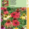 Hortitops Zaden - Echinacea, Zonnehoed Paradiso 2 Hortitops Zaden - Echinacea, Zonnehoed Paradiso -Goedkope Groene Liefde Winkel 840x1200 2