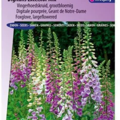 Sluis Garden - Vingerhoedskruid Excelsior Mix