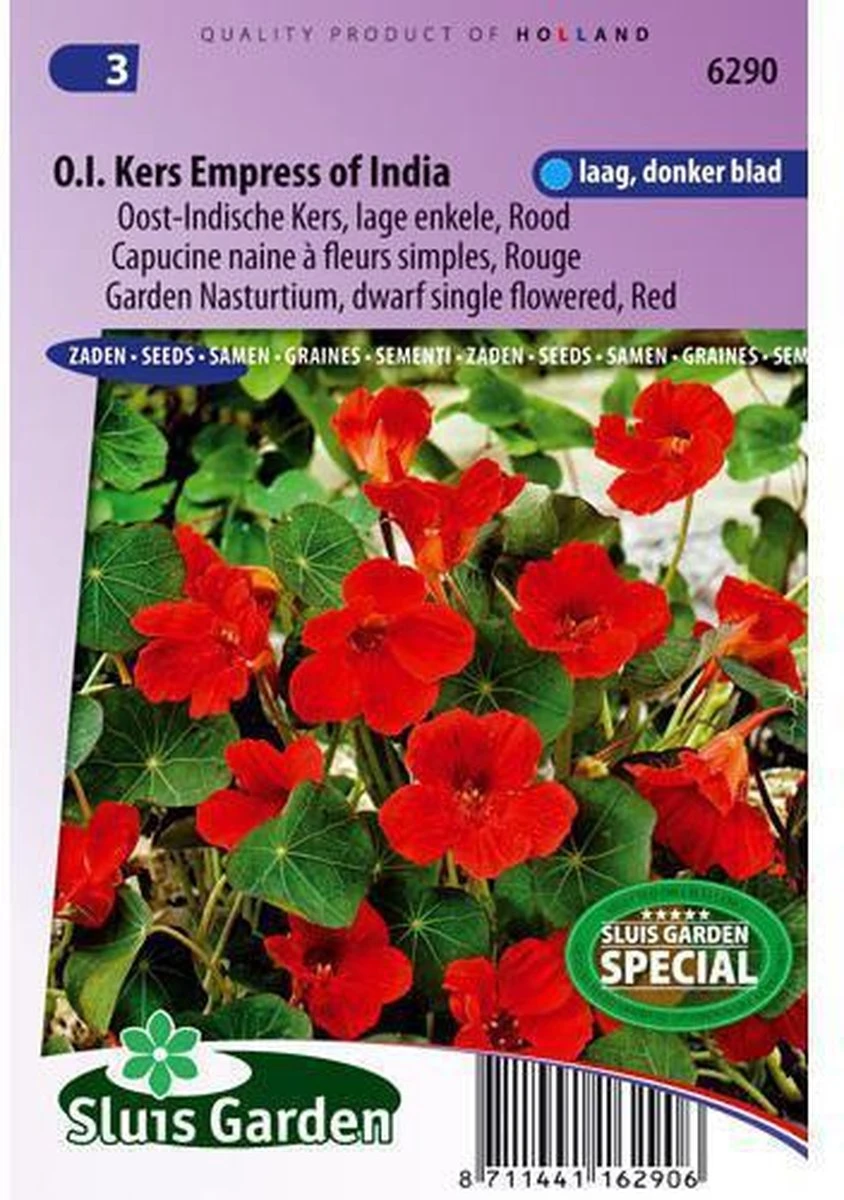 Sluis Garden - Oost-Indische Kers Empress Of India Rood, Lage Enkelbloemig 3 Sluis Garden - Oost-Indische Kers Empress Of India Rood, Lage Enkelbloemig