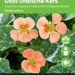 Buzzy® Oost-Indische Kers - Alaska Salmon