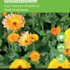 Buzzy® - Goudsbloem Touch Of Red Mix (Calendula Officinalis) -Goedkope Groene Liefde Winkel 865x1200