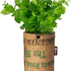 Biologische Kweekset Theekruiden Munt -Goedkope Groene Liefde Winkel 866x1200