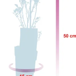 Blauwe Bessen Fruitplanten Mix - Set Van 4 Blauwe Bosbessen - Hoogte 50-60 Cm - Zelfbestuivend, Winterhard -Goedkope Groene Liefde Winkel 875x1200 1