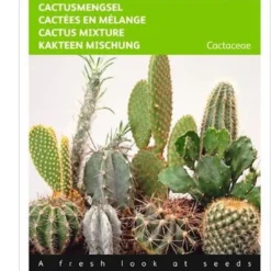 Buzzy - Cactus All Round Mengsel 8 Buzzy - Cactus All Round Mengsel -Goedkope Groene Liefde Winkel 893x1200