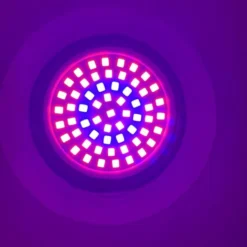 LED Groeilamp 60 Leds - Groei & Bloeilamp - Kweeklamp - Growlight - Growled 7 LED Groeilamp 60 Leds - Groei & Bloeilamp - Kweeklamp - Growlight - Growled -Goedkope Groene Liefde Winkel 899x1200