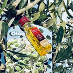 Sunnytree - Olijfboom Op Stam - Boom - Winterhard - Groenblijvend - Bol Op Stam - 160cm Hoog -Goedkope Groene Liefde Winkel 900x1200 15