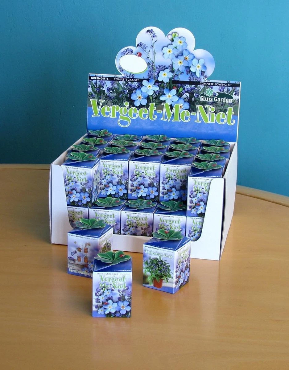 Sluis Garden - Greengift, Vergeet Me Niet 40 Stuks In Showdoos 3 Sluis Garden - Greengift, Vergeet Me Niet 40 Stuks In Showdoos