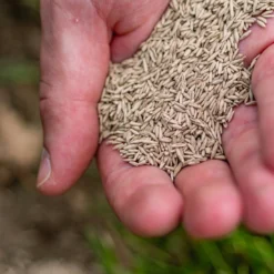 ECOstyle Graszaad Herstel Snelkiemend Gazon Gras – Herstelt Kale Plekken – Vogelwerende Coating – Geschikt Voor Zon- En Schaduw Gazons - Snelle Kieming – 10 – 15M² – 250 GR 18 ECOstyle Graszaad Herstel Snelkiemend Gazon Gras – Herstelt Kale Plekken – Vogelwerende Coating – Geschikt Voor Zon- En Schaduw Gazons - Snelle Kieming – 10 – 15M² – 250 GR -Goedkope Groene Liefde Winkel 960x1200 1