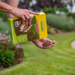 ECOstyle Gazon 4-in-1 Totaalpakket Met Kalk, Mest, Graszaad & Grond In Een Doos - Geeft Kale Plekken In Gras Egaal Herstel - 5- 10 Kale Plekken - 1 KG -Goedkope Groene Liefde Winkel 960x1200 15