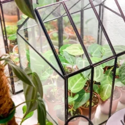 HortiPower Bloomer 2 Kweeklampen - 2 Stuks - 400-780nm - 9W - E27 - LED - Kweeklamp Led Full Spectrum - Groeilamp Voor Planten -Goedkope Groene Liefde Winkel 962x1200