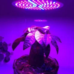 Merkloos Led Kweeklamp - Groeilamp - Bloeilamp Voor Planten - E27 Fitting - 200 LEDS - Met Klemhouder -Goedkope Groene Liefde Winkel 982x1200