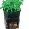 Silverline Aardappelplantzak - 36 X 51 Cm -Goedkope Groene Liefde Winkel 986x1200